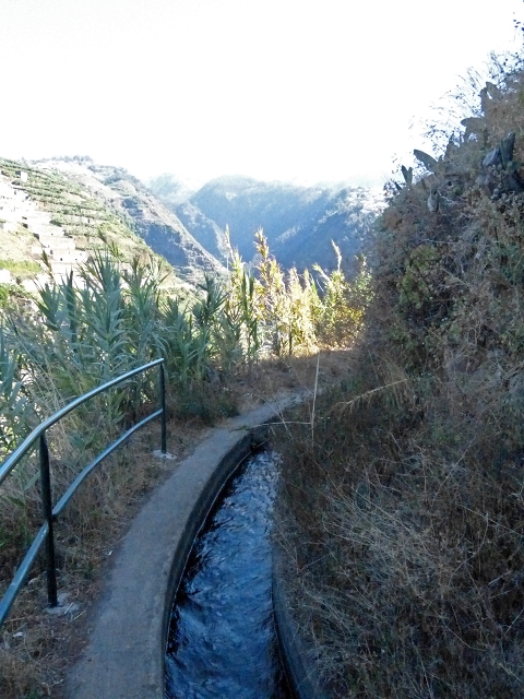 Levada dos Piornais — Pela zona das bananeiras — foto 1