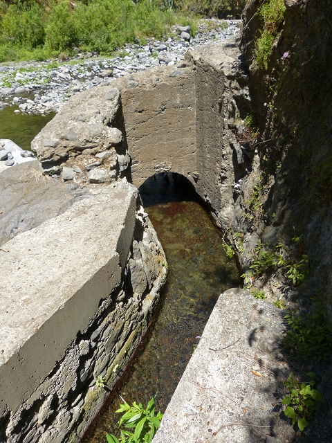 Levada dos Piornais — Madre — foto 4