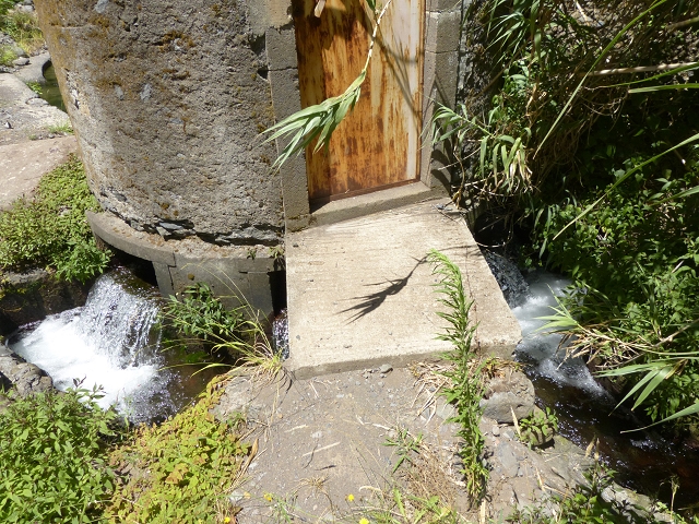 Levada dos Piornais — Madre — foto 6