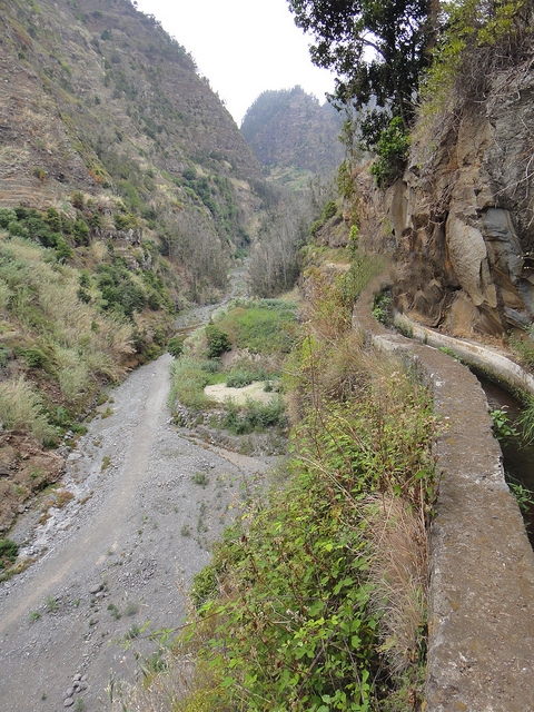 Levada dos Piornais — Até ao portão verde fechado — foto 24