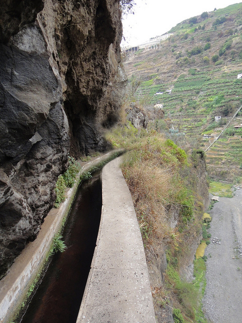 Levada dos Piornais — Até ao portão verde fechado — foto 23