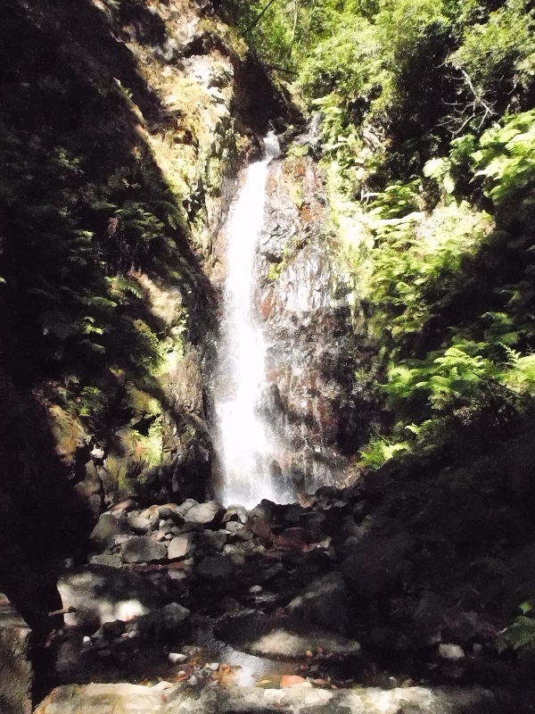 Levada dos Tornos Nord — Abschnitt 1 — Foto 1