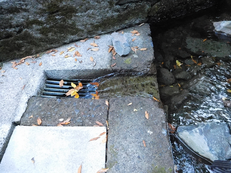 Levada dos Tornos Nord — Abschnitt 1 — Foto 10