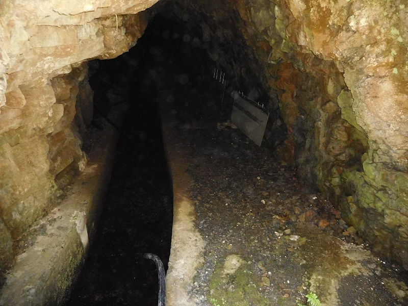 Levada dos Tornos Nord — Abschnitt 4 — Foto 2