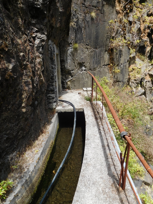 Levada dos Tornos Nord — Abschnitt 4 — Foto 3