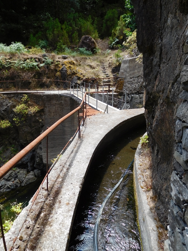 Levada dos Tornos Nord — Abschnitt 4 — Foto 5