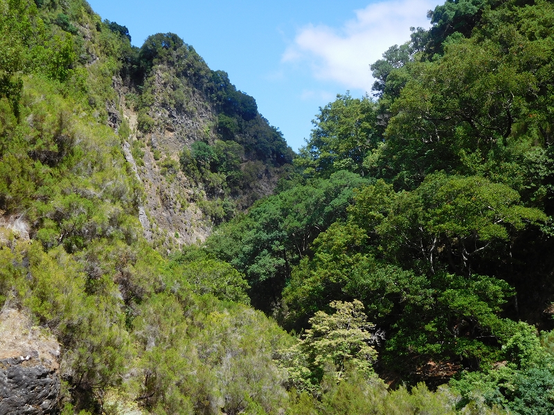 Levada dos Tornos Nord — Abschnitt 4 — Foto 8