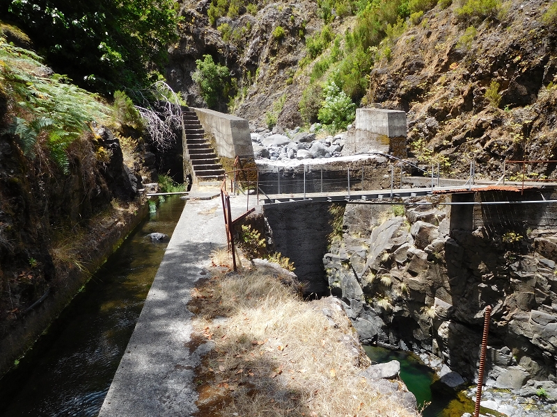 Levada dos Tornos Nord — Abschnitt 4 — Foto 9