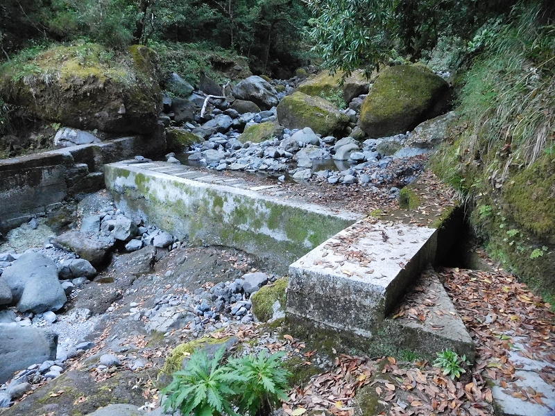 Levada dos Tornos Nord — Abschnitt 1 — Foto 11