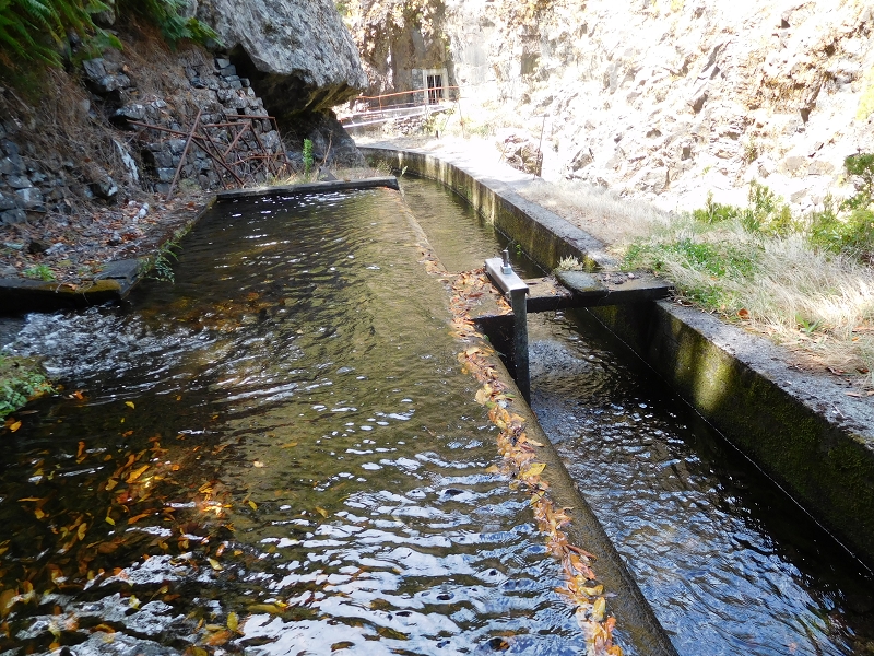 Levada dos Tornos Nord — Abschnitt 4 — Foto 12