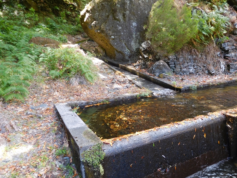 Levada dos Tornos Nord — Abschnitt 4 — Foto 13