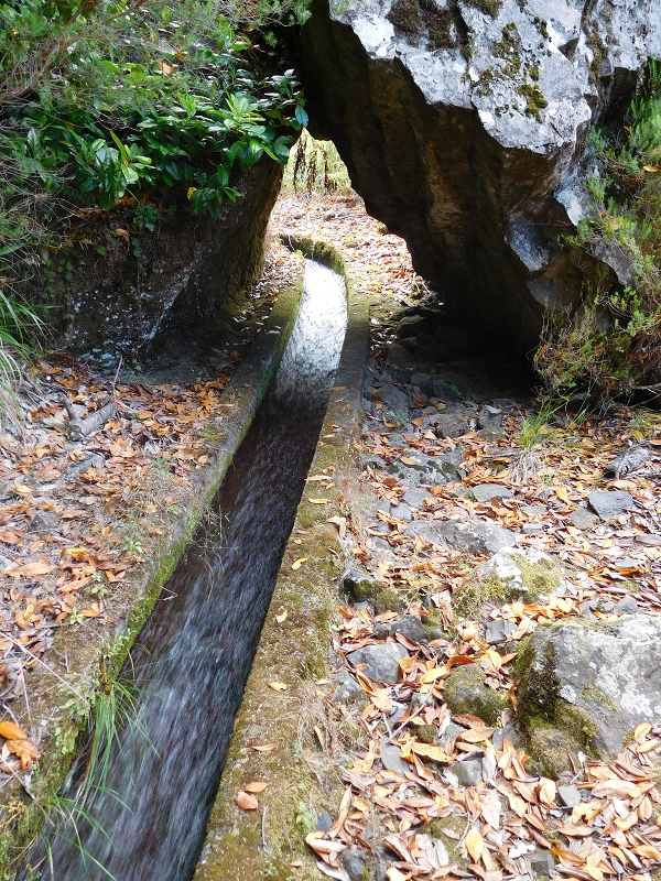 Levada dos Tornos Nord — Abschnitt 4 — Foto 14