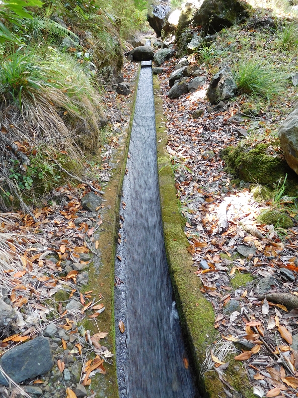 Levada dos Tornos Nord — Abschnitt 4 — Foto 15