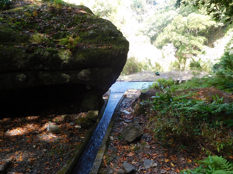 Levada dos Tornos Nord — Abschnitt 4 — Foto 16