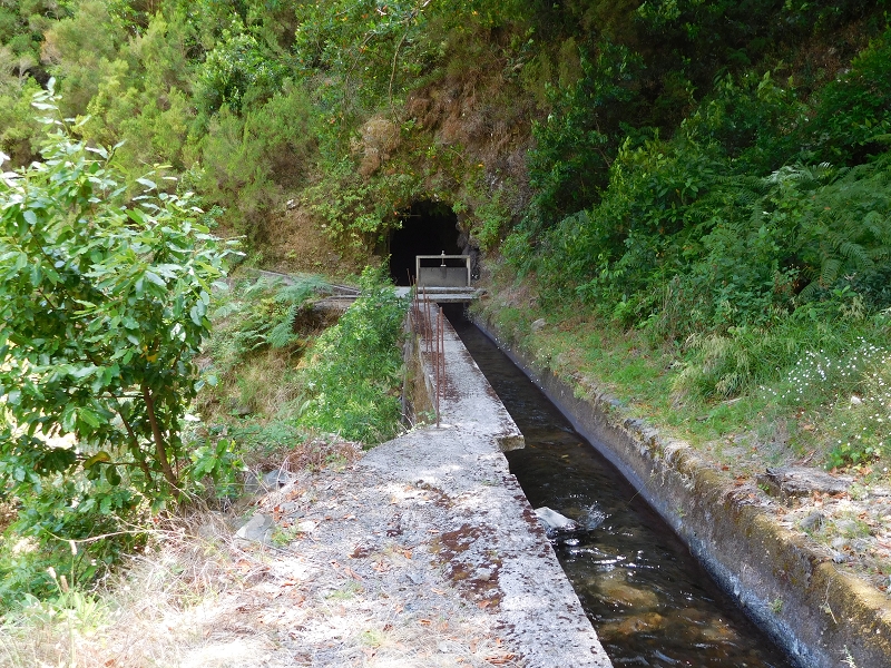 Levada dos Tornos Nord — Abschnitt 4 — Foto 17