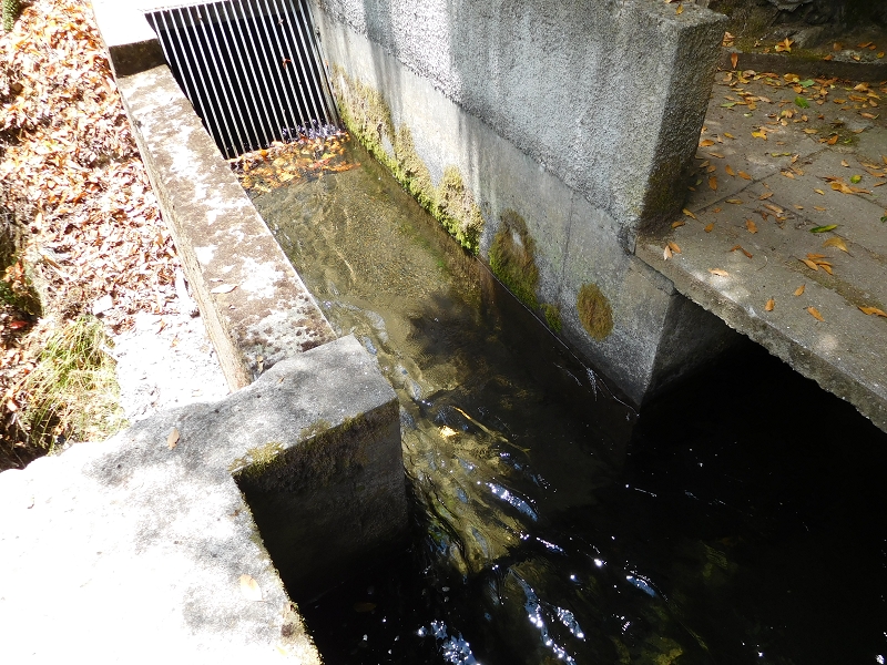 Levada dos Tornos Nord — Abschnitt 5 — Foto 2