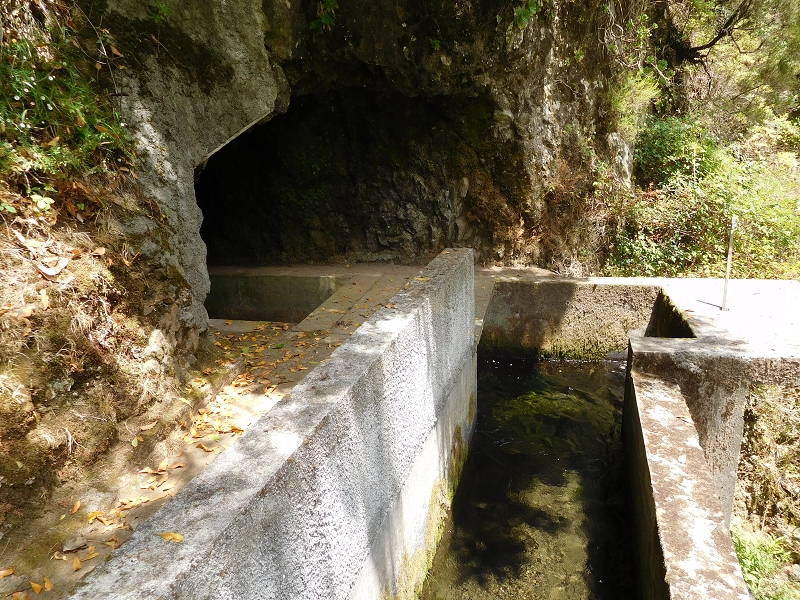 Levada dos Tornos Nord — Abschnitt 5 — Foto 3