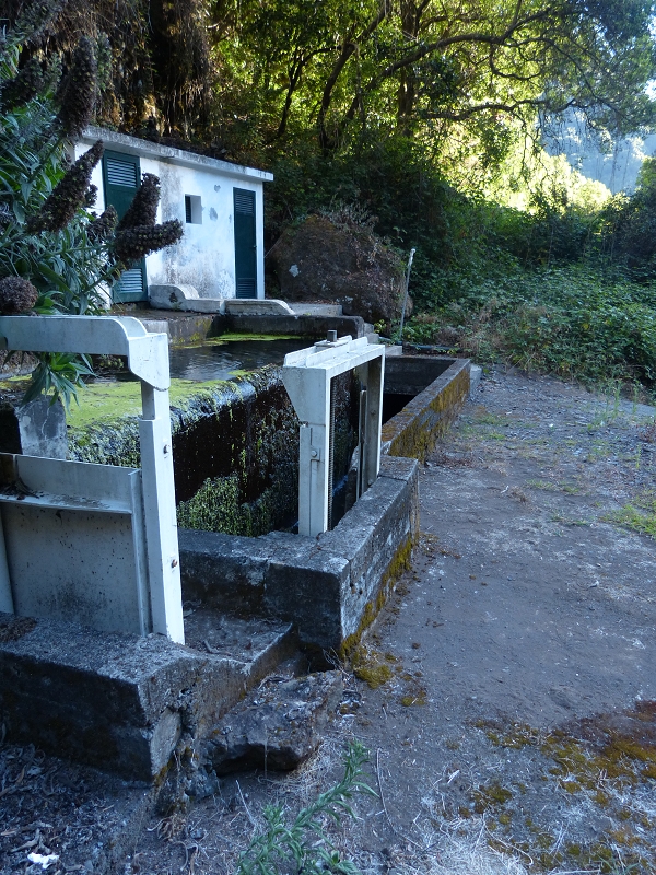 Levada dos Tornos Nord — Abschnitt 5 — Foto 8