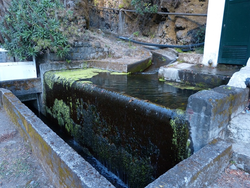 Levada dos Tornos Nord — Abschnitt 5 — Foto 9