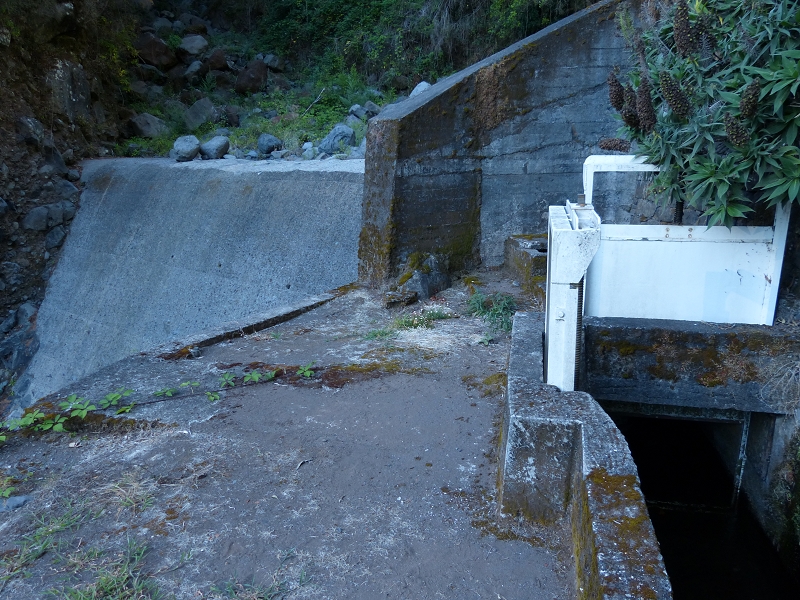Levada dos Tornos Nord — Abschnitt 5 — Foto 10