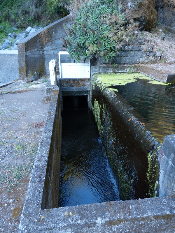 Levada dos Tornos Nord — Abschnitt 5 — Foto 11