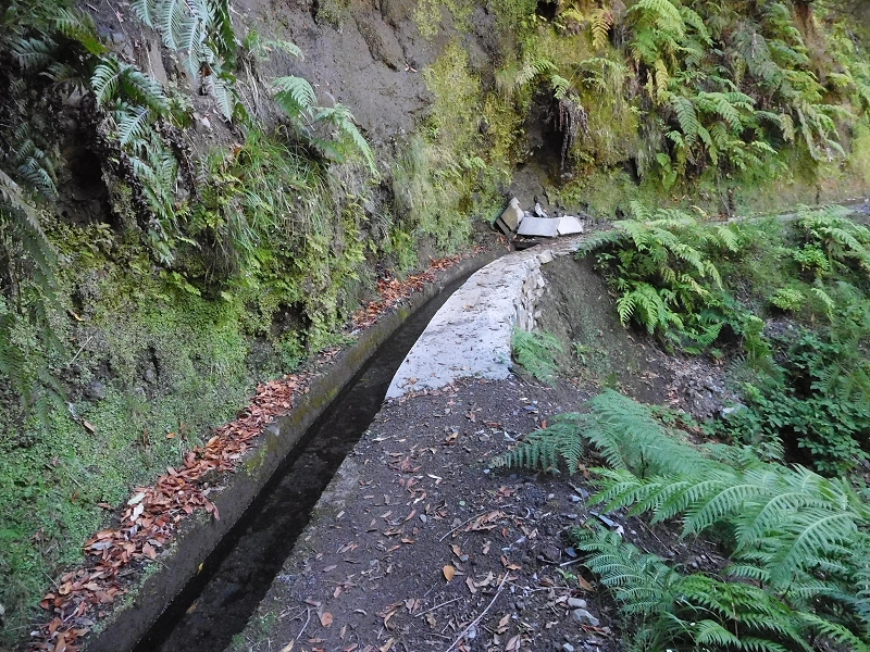 Levada dos Tornos Nord — Abschnitt 1 — Foto 13