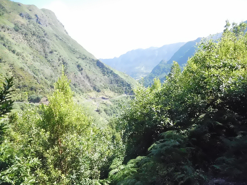 Levada dos Tornos Nord — Abschnitt 1 — Foto 15
