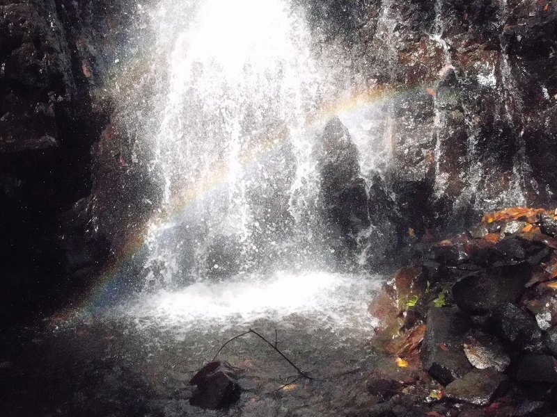 Levada dos Tornos Nord — Abschnitt 1 — Foto 2
