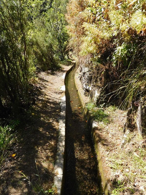 Levada dos Tornos Nord — Abschnitt 2 — Foto 5