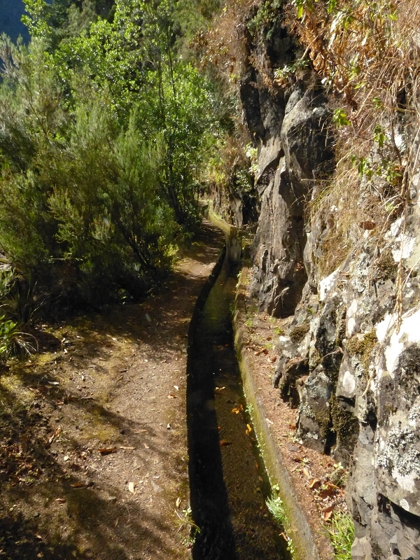 Levada dos Tornos Nord — Abschnitt 2 — Foto 6