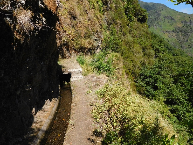 Levada dos Tornos Nord — Abschnitt 2 — Foto 7