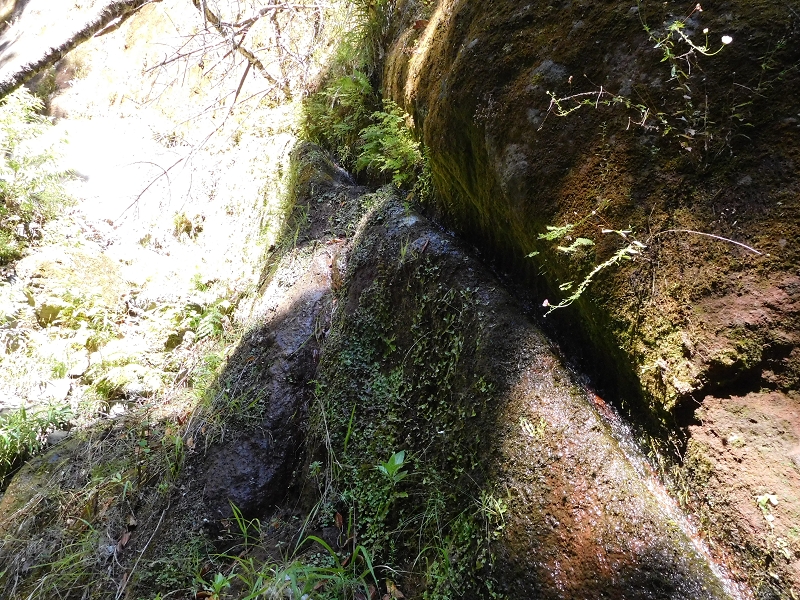 Levada dos Tornos Nord — Abschnitt 2 — Foto 8