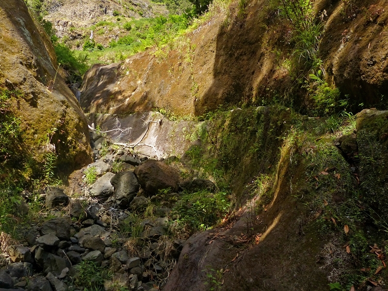 Levada dos Tornos Nord — Abschnitt 2 — Foto 9