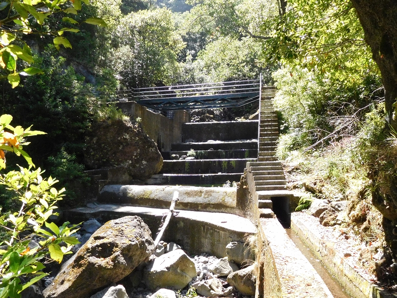Levada dos Tornos Nord — Abschnitt 2 — Foto 12