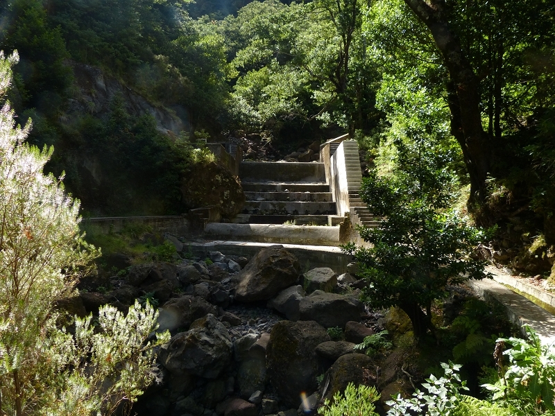 Levada dos Tornos Nord — Abschnitt 2 — Foto 13
