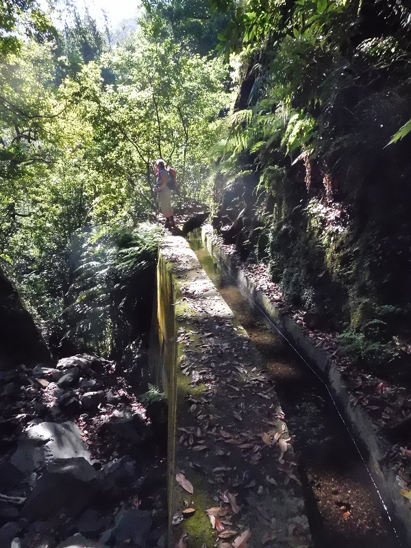 Levada dos Tornos Nord — Abschnitt 1 — Foto 3
