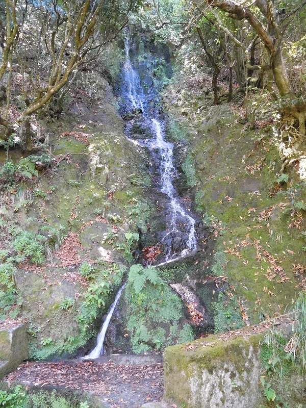 Levada dos Tornos Nord — Abschnitt 2 — Foto 17