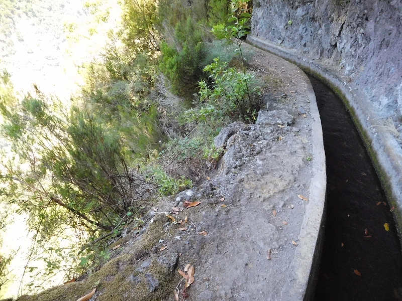 Levada dos Tornos Nord — Abschnitt 2 — Foto 20