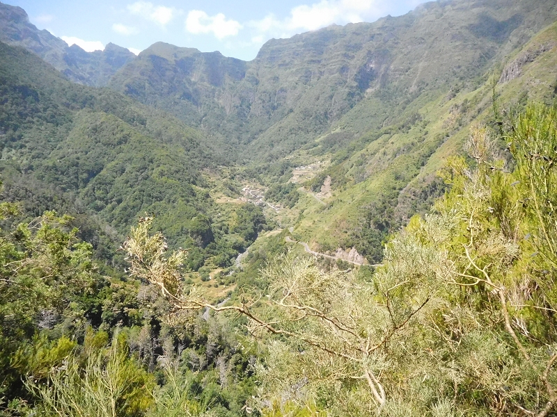 Levada dos Tornos Nord — Abschnitt 2 — Foto 21