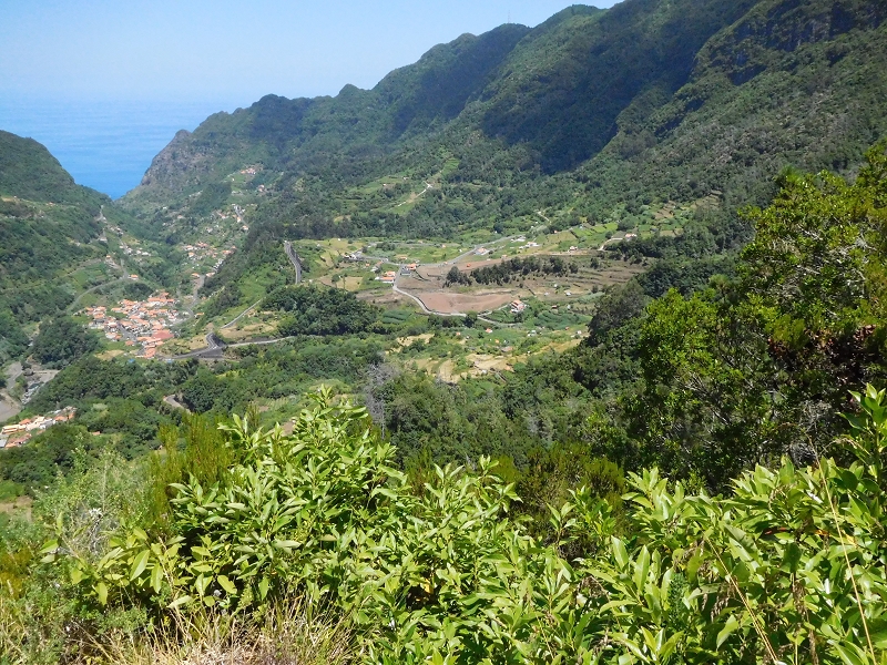 Levada dos Tornos Nord — Abschnitt 2 — Foto 29
