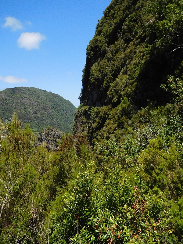 Levada dos Tornos Nord — Abschnitt 2 — Foto 32