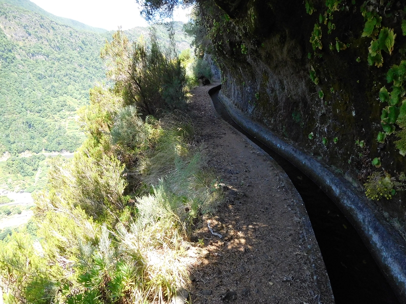 Levada dos Tornos Nord — Abschnitt 2 — Foto 33