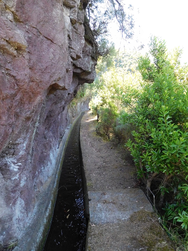 Levada dos Tornos Nord — Abschnitt 2 — Foto 34