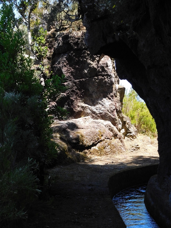 Levada dos Tornos Nord — Abschnitt 2 — Foto 35