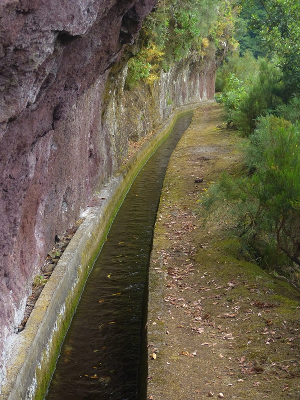 Levada dos Tornos Nord — Abschnitt 2 — Foto 36
