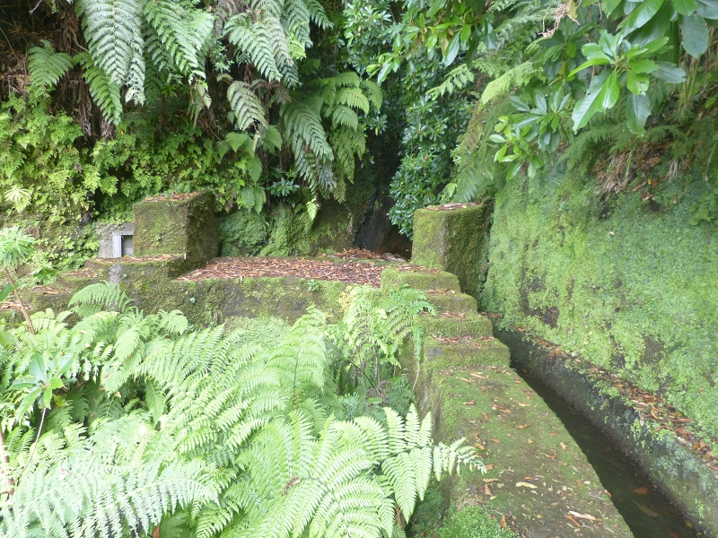 Levada dos Tornos Nord — Abschnitt 2 — Foto 39