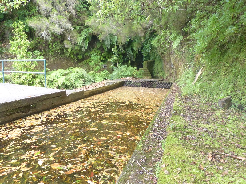 Levada dos Tornos Nord — Abschnitt 2 — Foto 40
