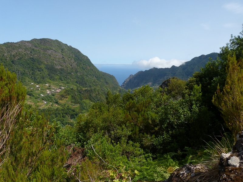 Levada dos Tornos Nord — Abschnitt 2 — Foto 41