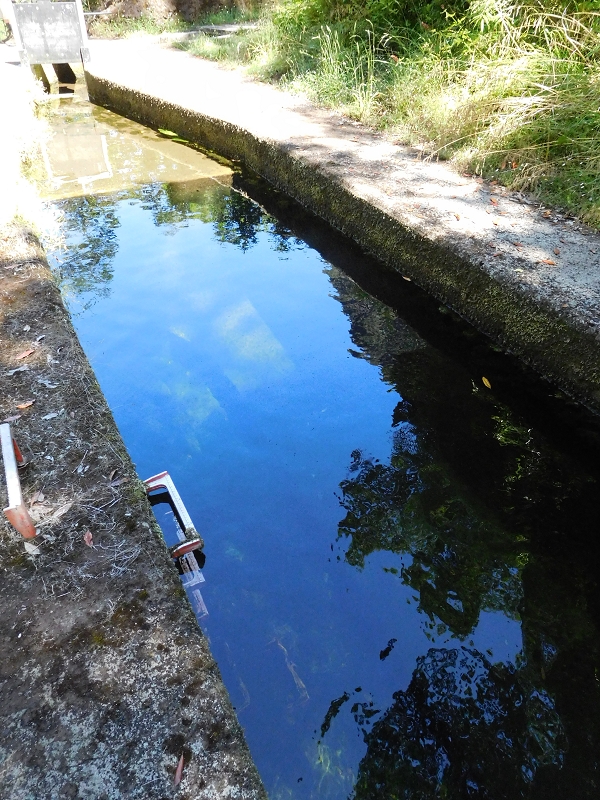 Levada dos Tornos Nord — Abschnitt 2 — Foto 3