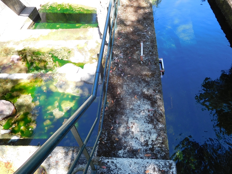 Levada dos Tornos Nord — Abschnitt 2 — Foto 4